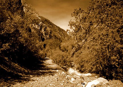 Rock Canyon above Provo, Utah
