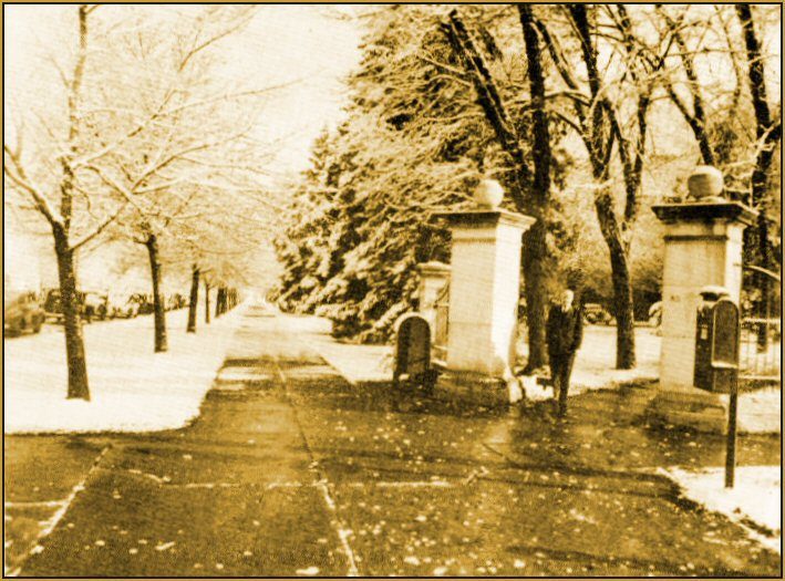 Probably Principal Golden Woolf in the photo.